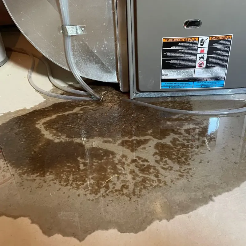 Pipe Burst and Leak Restoration in Holloman Air Force Base, NM